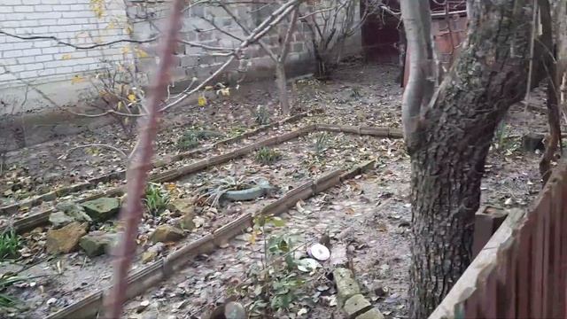 Дружковка, 24.11 - ГРОМ И МОЛНИЯ ВСЁ УТРО! смотреть онлайн