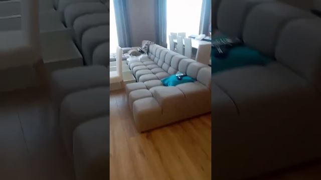 Презентации шкаф гаде роб и панели смотреть онлайн