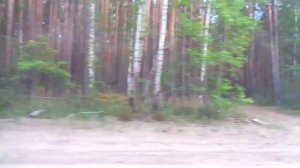 Играет Дассен. ЖЕКА (Евгений Григорьев) ПЕСНИ ДЛЯ ДУШИ