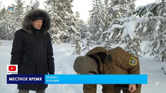 На Ямале стартовал учет диких животных