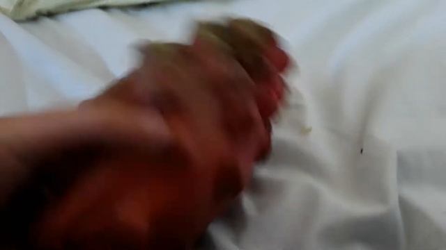 Драконий фрукт драконье сердце смотреть всем фрукт который вы никогда не найдете в России смотреть онлайн