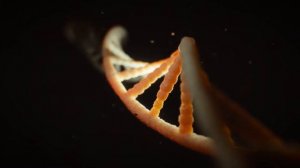 Важные заметки к существованию и развитию Болезни Паркинсона
