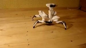 WowWee RoboQuad. Домашний робот- паук. Робокуад