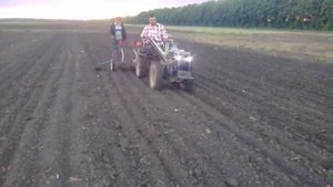 САМОДЕЛЬНАЯ СЕЯЛКА 5 рядная для Мотоблока | Мини-Трактора | Зубр | ОБЗОР + ПРОБА