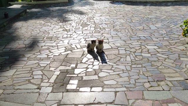 Охрана дачи Сталина. смотреть онлайн