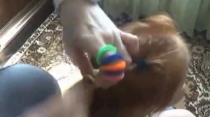 Прическа "Венок" из хвостиков для маленькой девочки