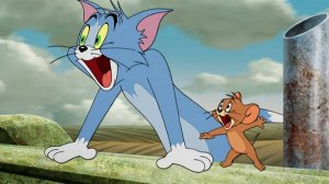 Tom and Jerry ☺️