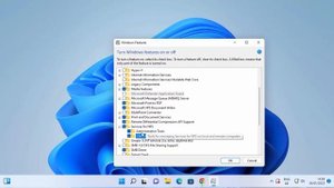How to Enable NFS on Windows 11