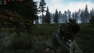 Escape From Tarkov на i3 12100F и Rtx 3050 Лес