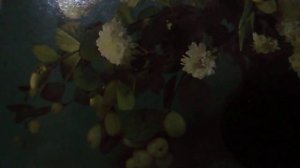 Золотой город(Под небом голубым есть город золотой(наброски)