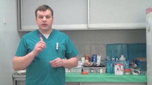 Признаки цистита у собак и кошек