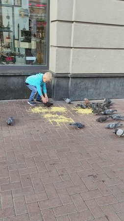 Интересно наблюдать, как на Арбате, в центре Москвы, маленький озорник ловит голубей.