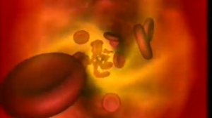 Харун Яхья - Божественная планета 2