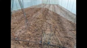 Теплица своими руками!