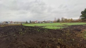 Пахота мотоблоком беларус с оборотный плугом.