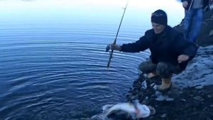 Ловля щуки на симферопольском водохранилище