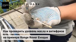 Проверка уровня масла и антифриза на примере Range Rover Evoque // Блог техцентра Сервис Парк