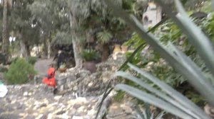 Храм во имя св  равноапостольной Марии Магдалины в Магдале; святые источники на Подворье