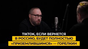 TikTok, если вернется в Россию, будет полностью «приземлившимся» — Горелкин