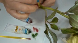 Мастер-класс Пион Зеленый ореол Флористическая глина (холодный фарфор)