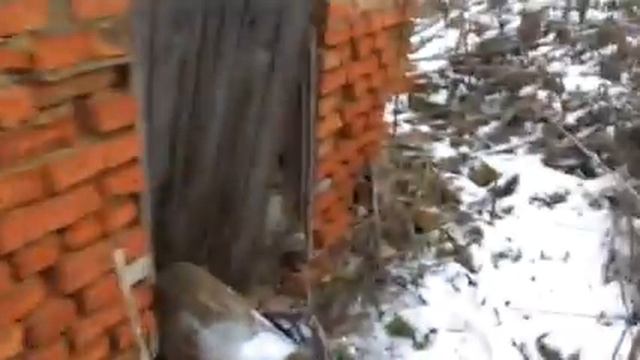 город Щигры смотреть онлайн