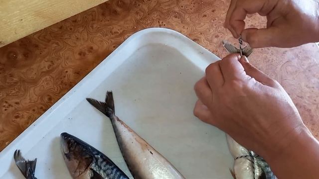 Скумбрия, посол и копчение! #скумбрия