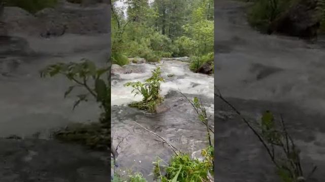 Пик Черского 2021. Хамар-дабан смотреть онлайн