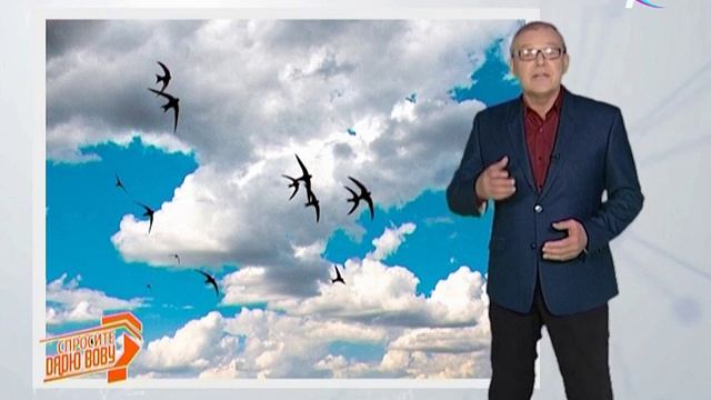 Спросите дядю Вову. Почему птицы перелетают в теплые края смотреть онлайн