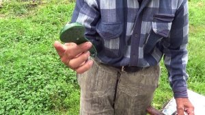 Чем лучше почистить рыбу