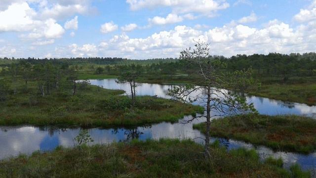 Сергей Щепетов. Каменный век. Кн. 1. Род Волка. Гл.7. смотреть онлайн