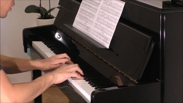 Diabelli: Sonatina Op. 163, No. 3 "Jugendfreuden" (Playing Piano Duet with myself) смотреть онлайн