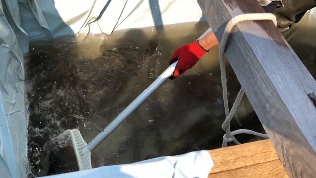 Очистка пруда из пленки своими руками. Часть 2. Набираем воду. Зарыбляем пруд.