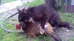 Любовь нечаянно нагрянет, когда её совсем не ждёшь...