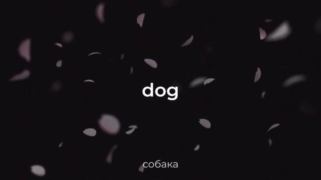 Английские слова для новичков на слух, слушай перед сном | 1000 слов для начинающих смотреть онлайн