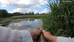 Рыбалка из детства. Ловля  КРУПНОГО КАРАСЯ на поплавочную удочку.