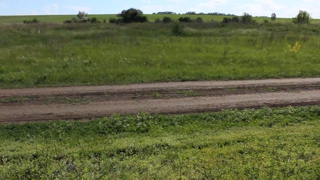 Дорога к дому твоему!!! смотреть онлайн