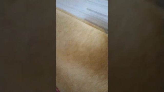 Другие друзья лягушка томат смотреть онлайн