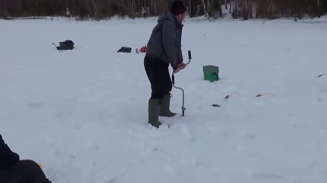 КАРАСЬ ПОШЁЛ!!! НО НЕ У ВСЕХ! Ловля карасей-кругляшей весной 2021