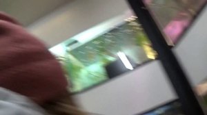 Поехали покупать рыб lll Вуалехвост, Телескоп, Склярия