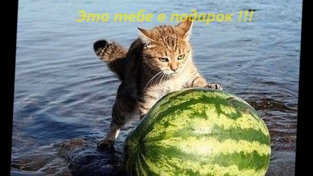 С ДНЕМ РОЖДЕНИЯ, ТАТЬЯНА ОСИПОВА !!!.wmv смотреть онлайн