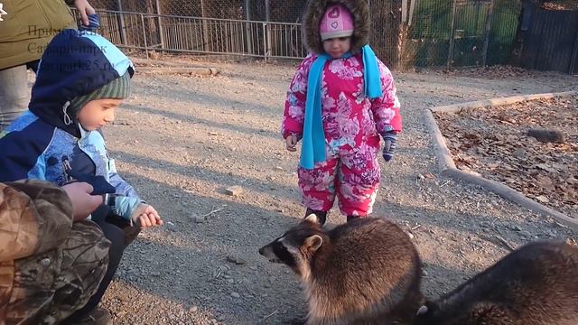 ВНУКИ ДИРЕКТОРА С ЖИВОТНЫМИ ПАРКА смотреть онлайн