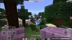 Minecraft 0.17.0.1 Apk Beta + Review