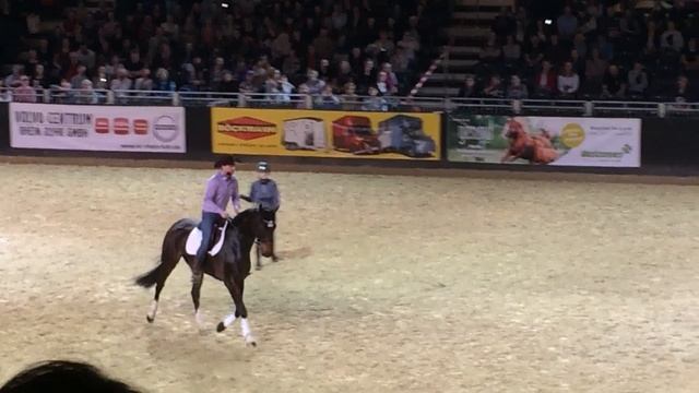 Вестерн и выездка поменялись лошадьми смотреть онлайн