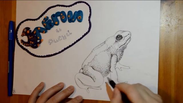 Лягушка. Рисуем черной ручкой. смотреть онлайн