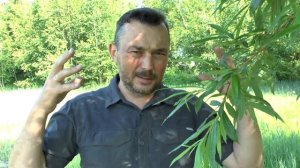 Новый закон июня 2022 года | Закон о навозе в России