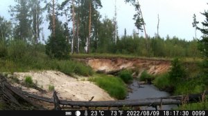 Лесной пожар попал в кадр?. РЫСЬ у реки. ЛОСИ и зимние пейзажи. ФОТОЛОВУШКИ - окончание 2-ого сезон