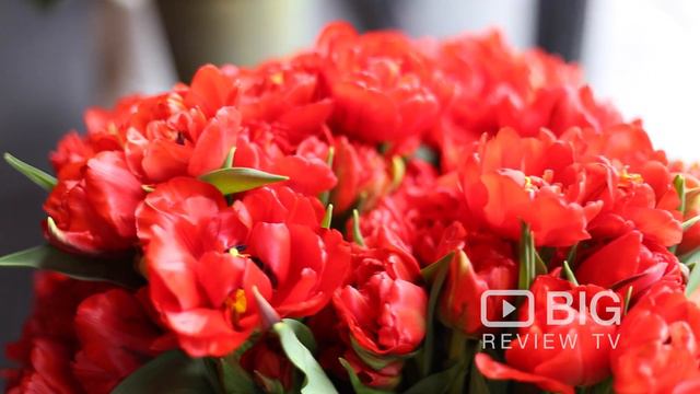 J Gilbert Studios Flower Shop in Brooklyn NY for Floral Design and Bouquet