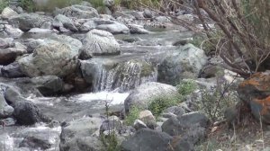 Монголия. Природа