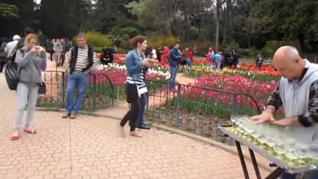 бал тюльпанов и хрустальная музыка