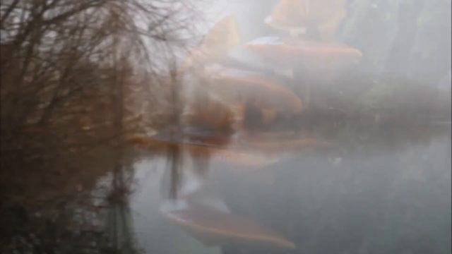 Nikon D80 слайд смотреть онлайн